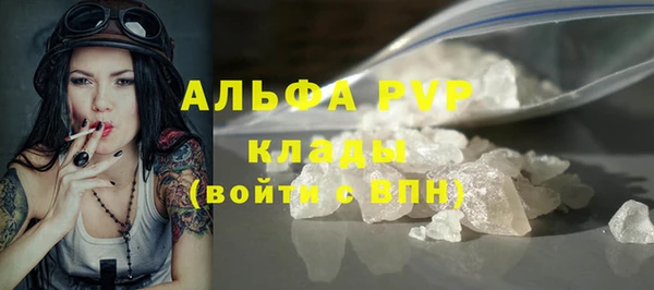 PSILOCYBIN Верея