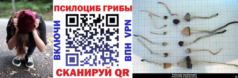 Галлюциногенные грибы GOLDEN TEACHER  Благовещенск 